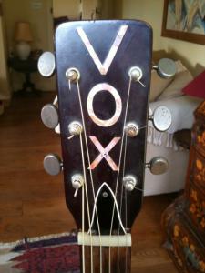 pala guitarra vox.jpg