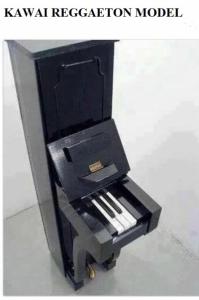 KAWAI REGGAETON MODEL.jpg