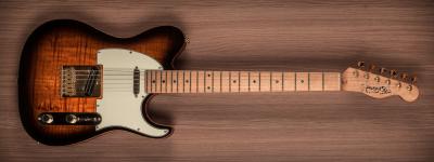 TCustom Web Intro.jpg