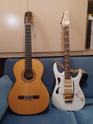 IBANEZ PIA y JUANA FLAMENCA NEGRA.jpg