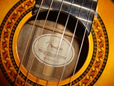 fenderacustic.JPG