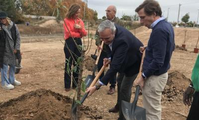 almeida-esta-envuelto-en-la-pole-mica-por-la-tala-de-a-rboles-en-madrid-ep.jpeg