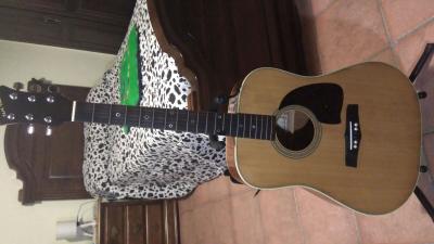 WhatsApp Image 2017-04-30 at 03.42.08.jpeg