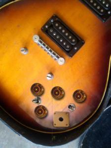 Epiphone Genesis_arreglo.jpg