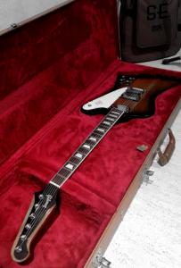 WhatsApp Image 2020-01-27 at 10.59.31.jpeg