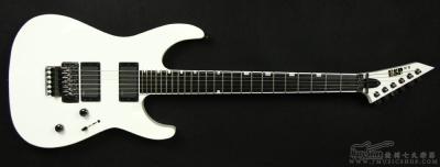 ESP M-II CTM STD SW.jpg