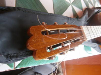 PB220267 [800x600].jpg