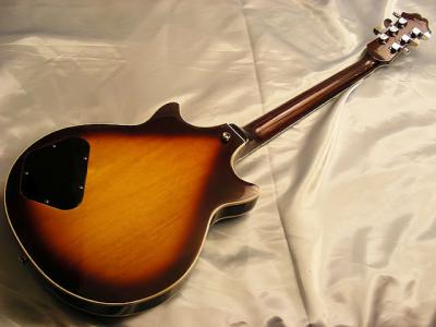 epiphone genesis guitar standard deluxe custom gibson (8).jpg