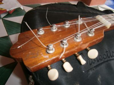 PB220314 [800x600].jpg