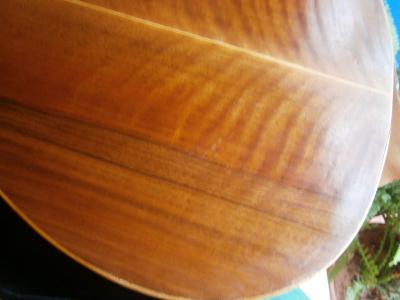 PB220310 [800x600].jpg