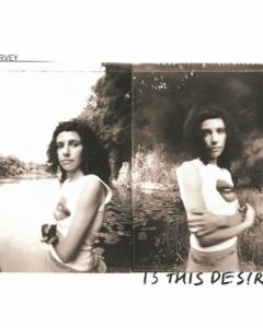 Is-This-Desire-de-PJ-Harvey-iupvcwmz1ccscvrey6rch07p3nfe96d61y6nxe6qn6cud2rul8416m465gtnb4.jpg