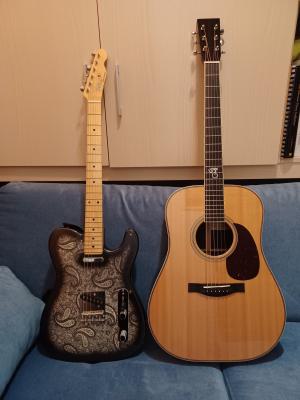 SCGC-TR Y TELECA PAISLEY.jpg