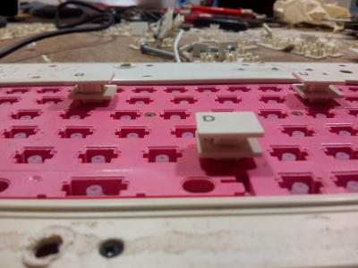 WhatsApp Image 2020-04-06 at 3.56.35 PM.jpeg