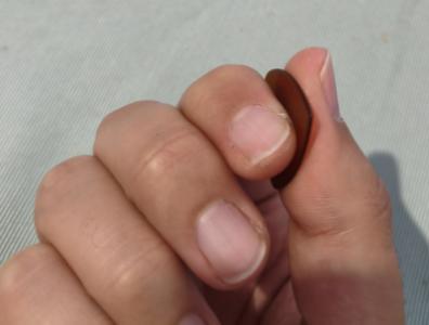 Yema_lateral índice 2.jpg