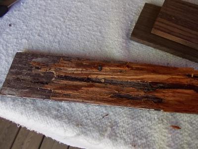 gibson SG Victor 018.jpg