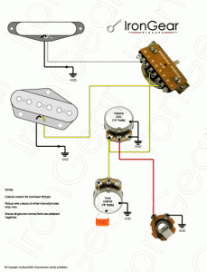 2 x single coil, 1 volume, 1 tone, 3-way blade selector igwatermark.gif