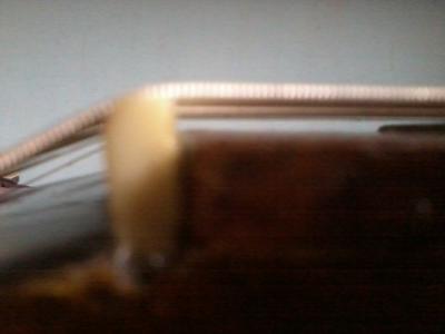 2016-01-28 16.51.44.jpg