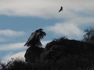 HOCES RIAZA_2014_IMG_2858.jpg