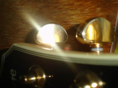 Resize of DSC01262.JPG