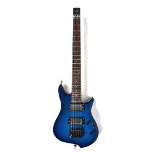 Asmuse LEAF-200 01.jpg