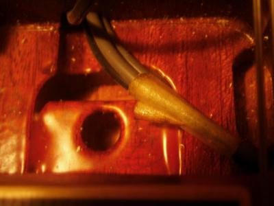 PA160207 [800x600].jpg