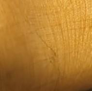 Captura de pantalla 2026-02-11 054711.jpeg