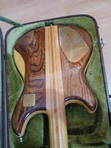 trasera cuerpo_IMG-20221022-WA0013.jpg