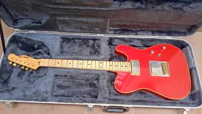 Schecter 3.jpg