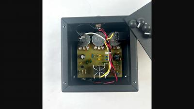 ear fuzz rat gut.jpg