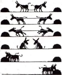burros.jpg
