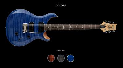 PRS SE CUSTOM 24 FA.jpg
