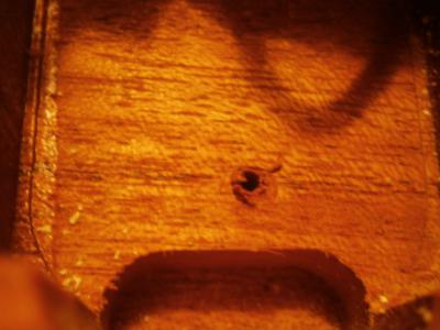 PA160218 [800x600].jpg