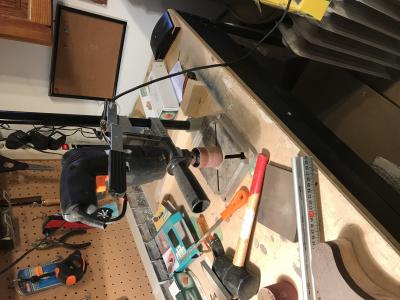 IMG_9117 3:8:2018.jpg