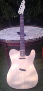 teleca entera delantera.jpg