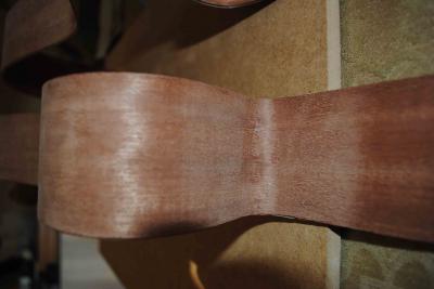 aros up - lateral.jpg