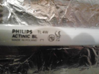 2018-03-05 19.57.05.jpg