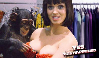 katy-perry-monkey-boob-grab.jpg