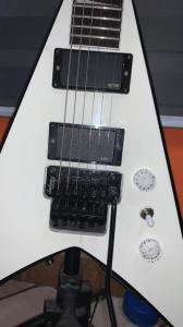 WhatsApp Image 2023-01-29 at 00.17.34.jpeg