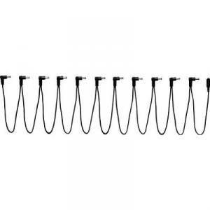 Godlyke 11 Daisy Chain.jpg