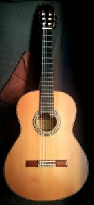 2014 Alhambra Linea Profesional.jpeg