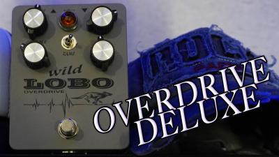 Wild Lobo 2parte.jpg