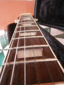 PA100175 [800x600].jpg