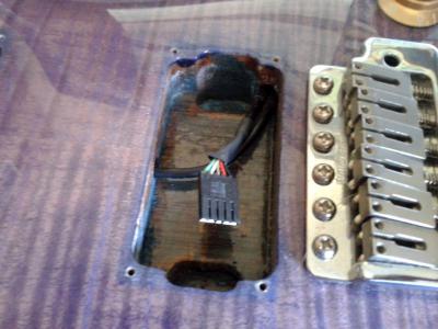 conector EMG.jpg