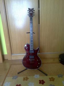 08092011015 (Copiar).jpg