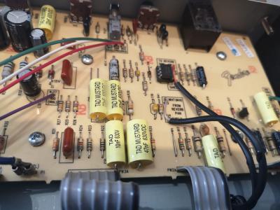 WhatsApp Image 2020-03-08 at 09.10.12.jpeg