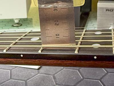 IMG_4984.jpg