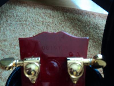 DSC00494 (Copiar).JPG