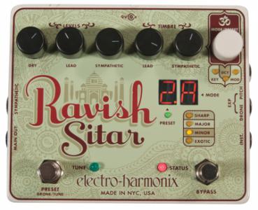 Pedal Sitar.JPG