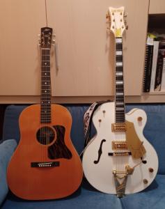 ATKIN HAWAIIAN Y GRETSCH WF20251014_221514.jpg