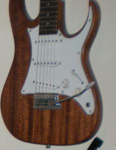 mp 44 i habitacio set 2009 019~2.jpg